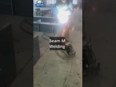 کارگاه فولاد سریلانکا با پروژه جرثقیل